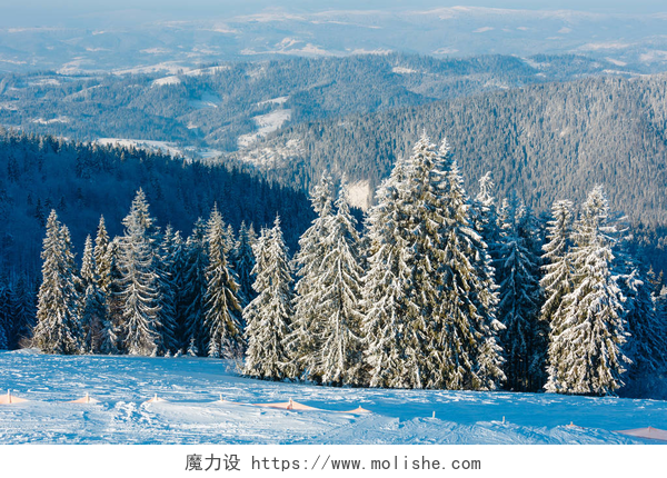 冬日里的雪山和丛林景观冬天山下雪的风景